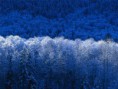 /album/fotogaleria/invierno-jpg/